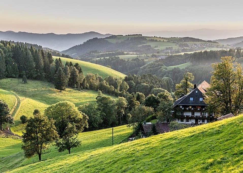 Ferienwohnung Lotti + Hochschwarzwald Card تيتيسي نيوستادت المظهر الخارجي الصورة