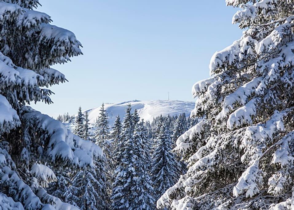 Ferienwohnung Lotti + Hochschwarzwald Card تيتيسي نيوستادت المظهر الخارجي الصورة