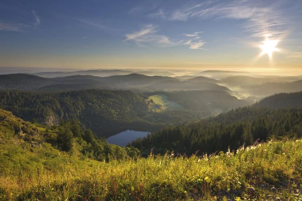 Ferienwohnung Lotti + Hochschwarzwald Card تيتيسي نيوستادت المظهر الخارجي الصورة