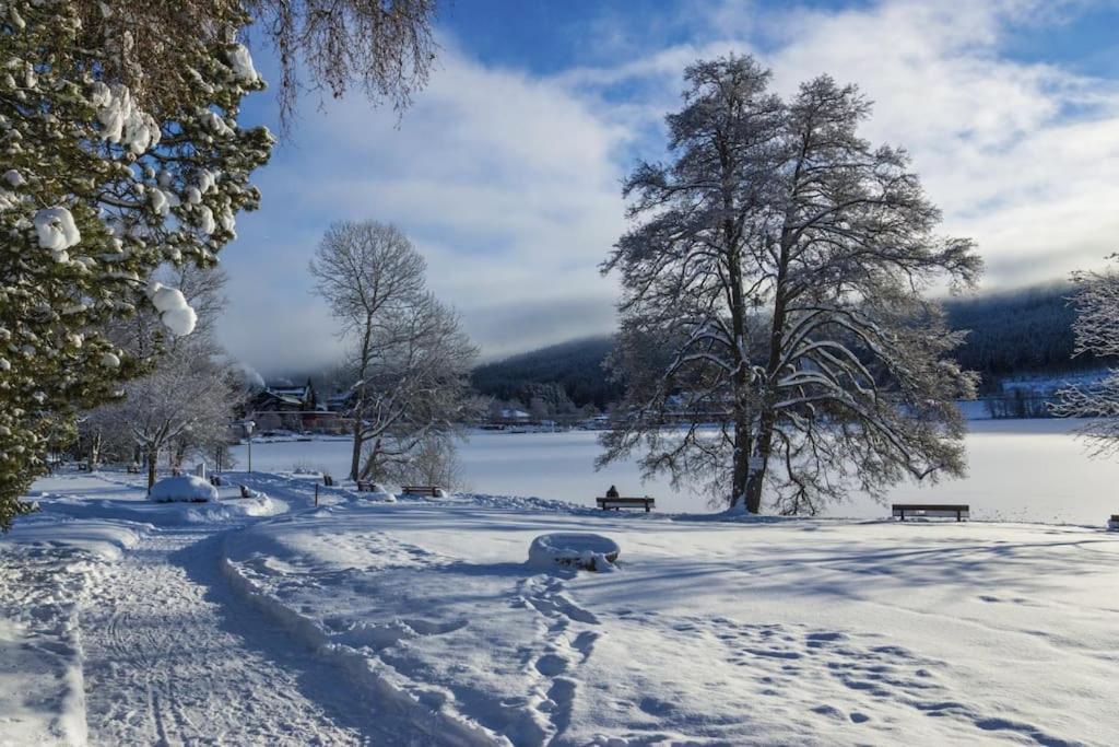 Ferienwohnung Lotti + Hochschwarzwald Card تيتيسي نيوستادت المظهر الخارجي الصورة