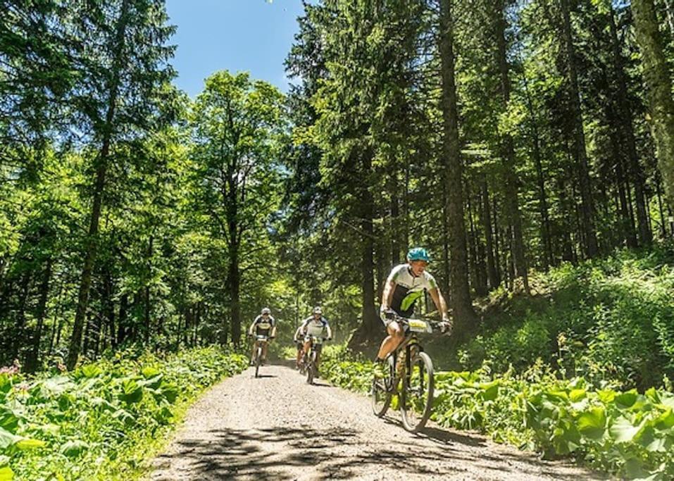 Ferienwohnung Lotti + Hochschwarzwald Card تيتيسي نيوستادت المظهر الخارجي الصورة